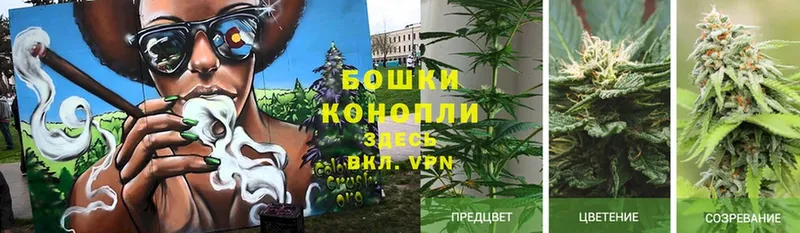 что такое наркотик  Магнитогорск  Каннабис White Widow 